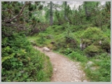 Slika_087.webp