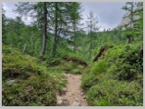 Slika_088.webp