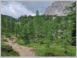 Slika_089.webp