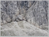 Slika_092.webp