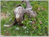 Slika_093.webp