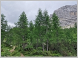 Slika_096.webp