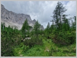 Slika_097.webp