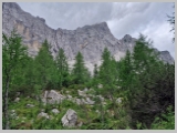Slika_098.webp