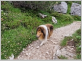 Slika_100.webp