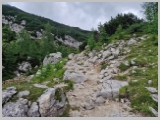 Slika_101.webp