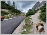 Slika_116.webp