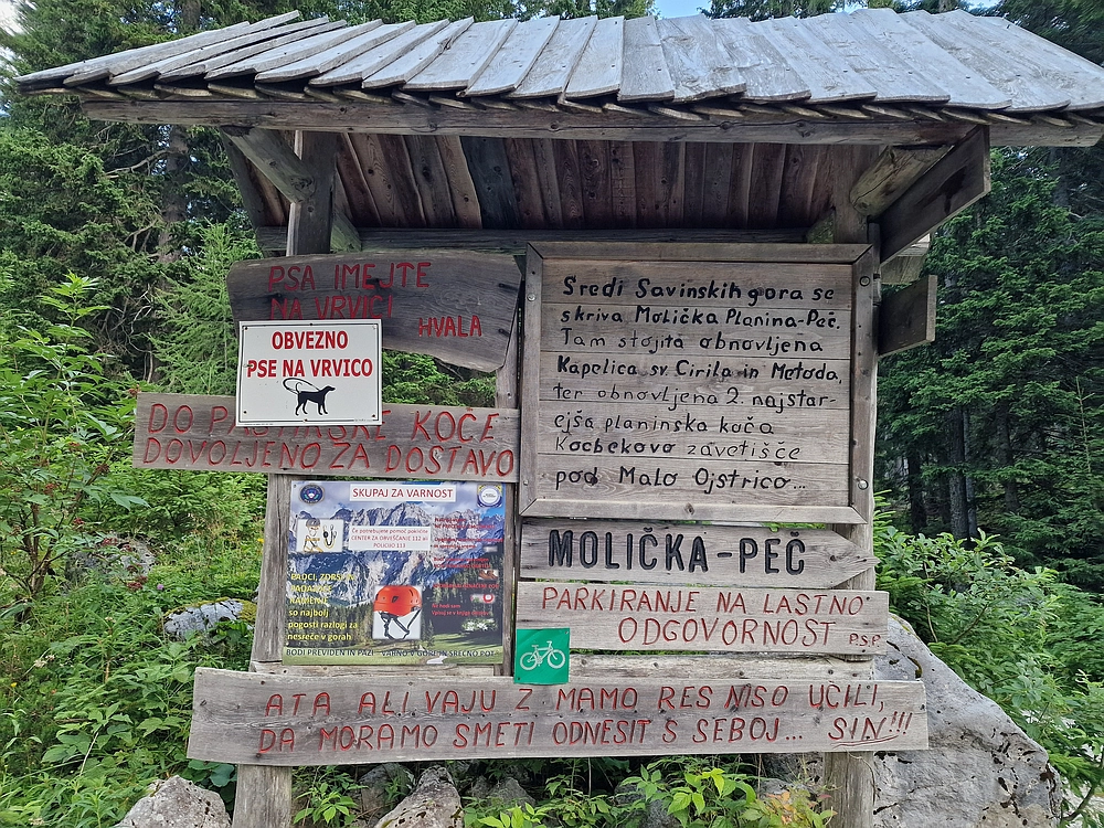 Slika je vidna v Google Chromu.