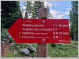 Slika_003.webp