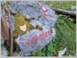 Slika_004.webp