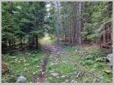 Slika_005.webp