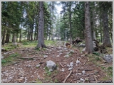Slika_006.webp