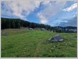 Slika_008.webp