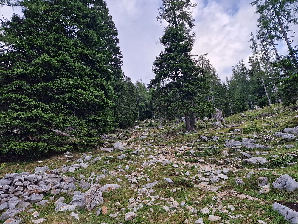Slika je vidna v Google Chromu.