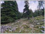 Slika_012.webp