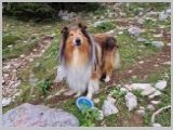 Slika_014.webp