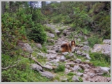 Slika_015.webp