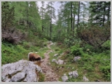 Slika_017.webp