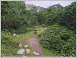 Slika_019.webp