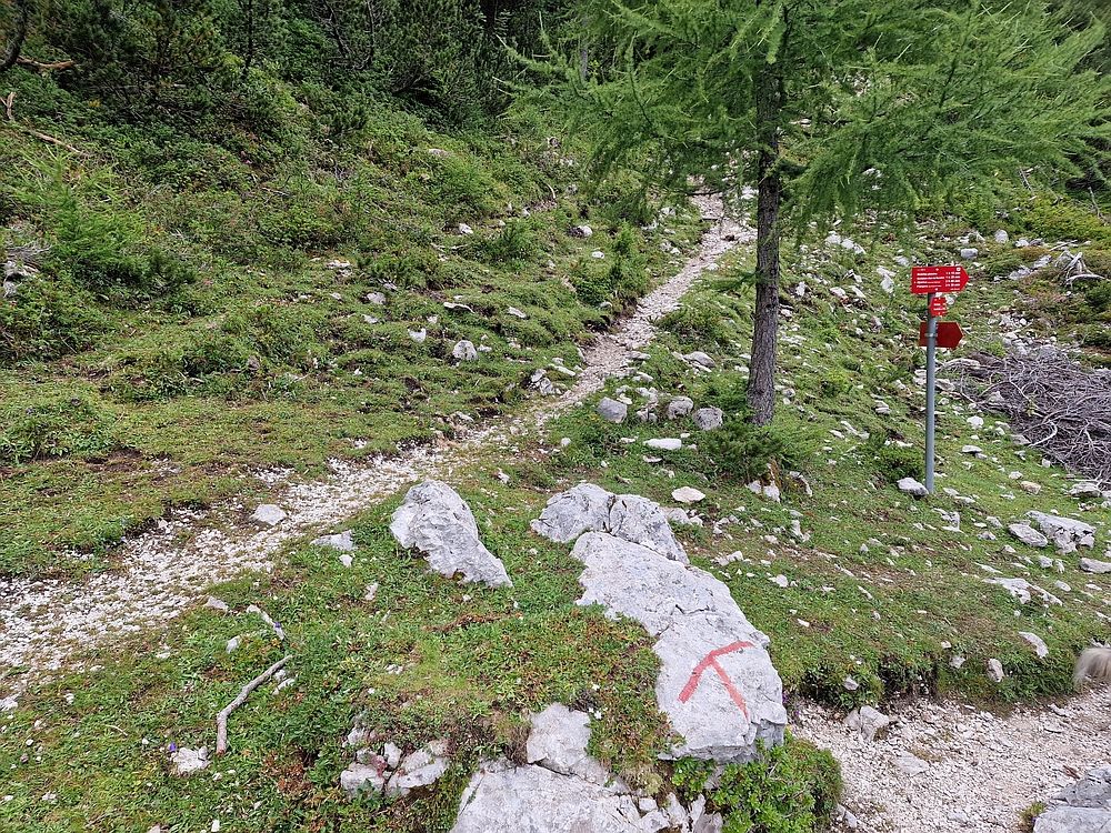 Slika je vidna v Google Chromu.