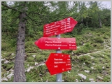 Slika_022.webp