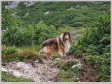 Slika_026.webp