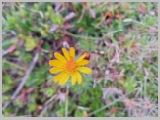 Slika_027.webp