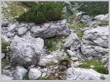 Slika_032.webp
