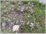 Slika_034.webp