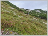 Slika_044.webp