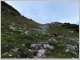 Slika_049.webp