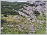 Slika_066.webp