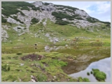 Slika_069.webp