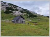 Slika_071.webp