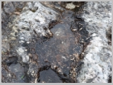 Slika_077.webp