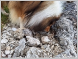 Slika_078.webp