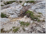 Slika_082.webp