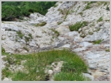 Slika_083.webp