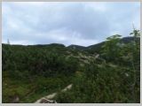 Slika_085.webp