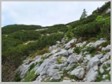 Slika_087.webp