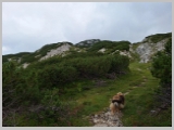 Slika_094.webp