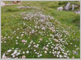 Slika_095.webp