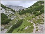 Slika_101.webp