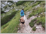 Slika_103.webp