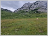 Slika_126.webp