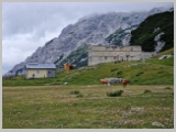 Slika_127.webp