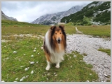 Slika_132.webp