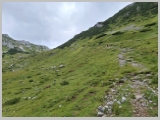 Slika_133.webp