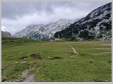 Slika_134.webp
