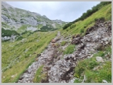 Slika_137.webp